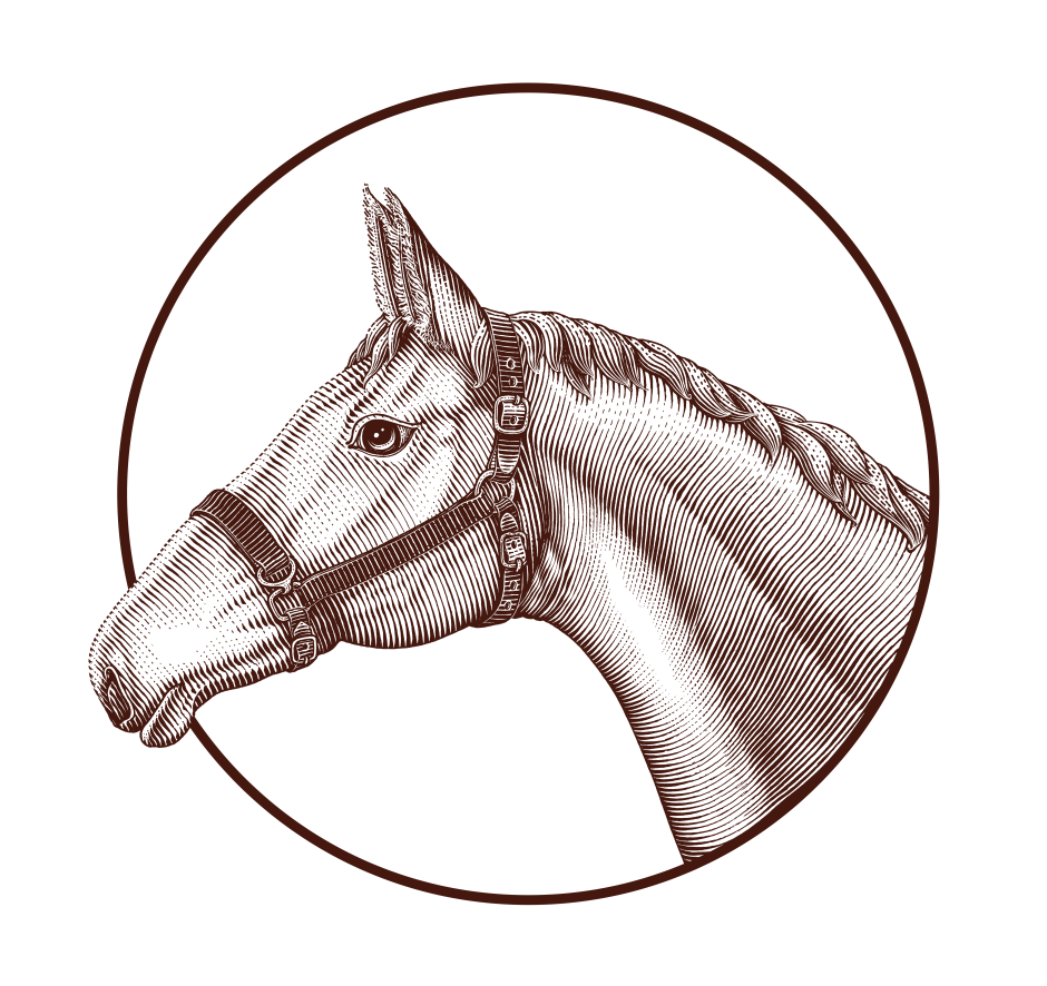 Перекрещенные головы лошадей