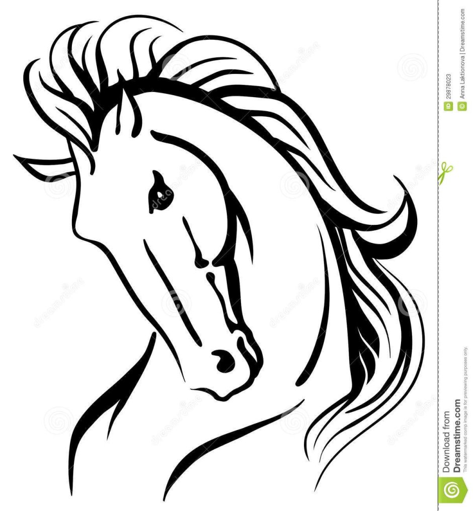 Конь анфас вектор