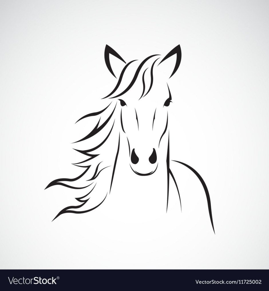 Морда лошади вектор