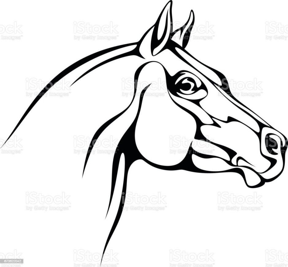 Лошадь черный контур