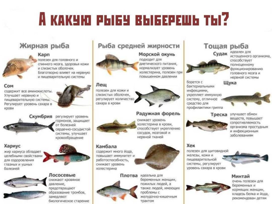 Таблица полезности рыбы