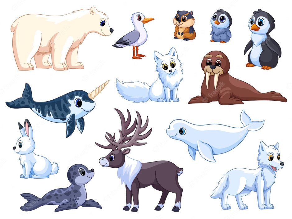 Полярные животные Учимся играя 3-4 года