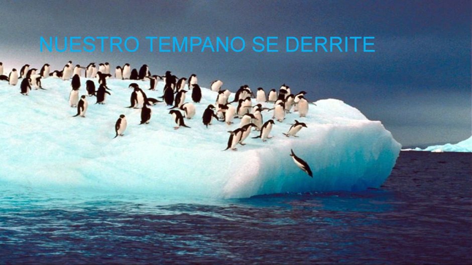 Пингвины обитают в Антарктиде