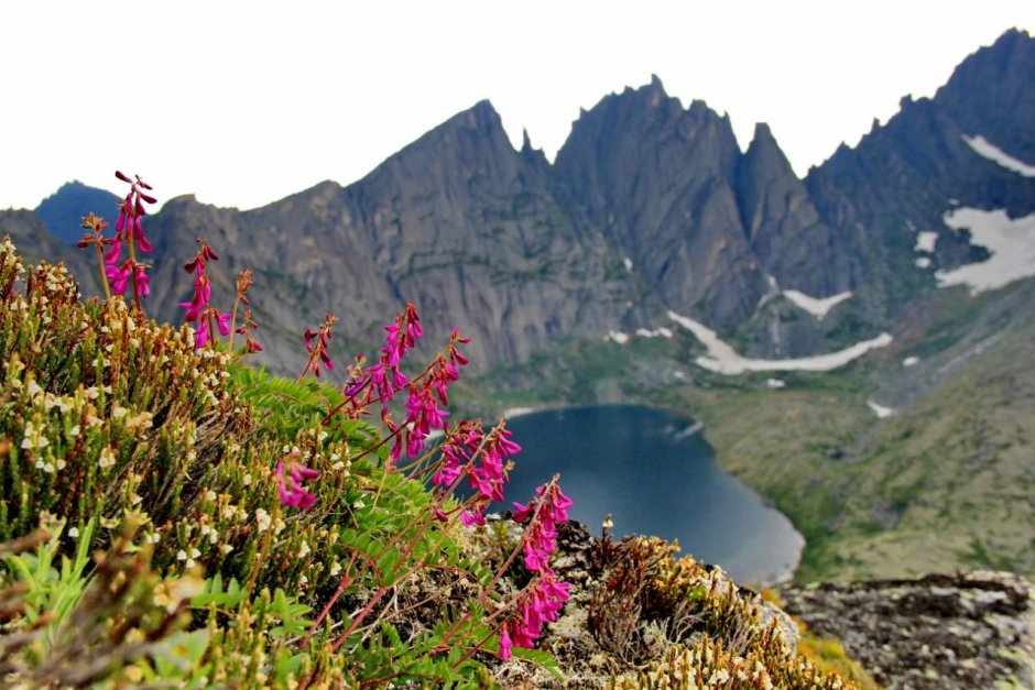 Горы Дуссе-Алинь Хабаровского края