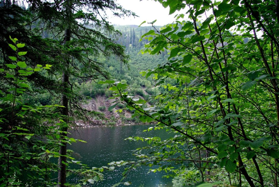 Природный парк Хосо Хабаровский край