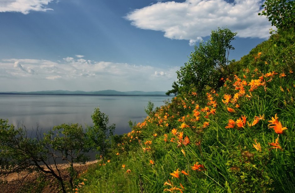 Комсомольский заповедник Хабаровский край