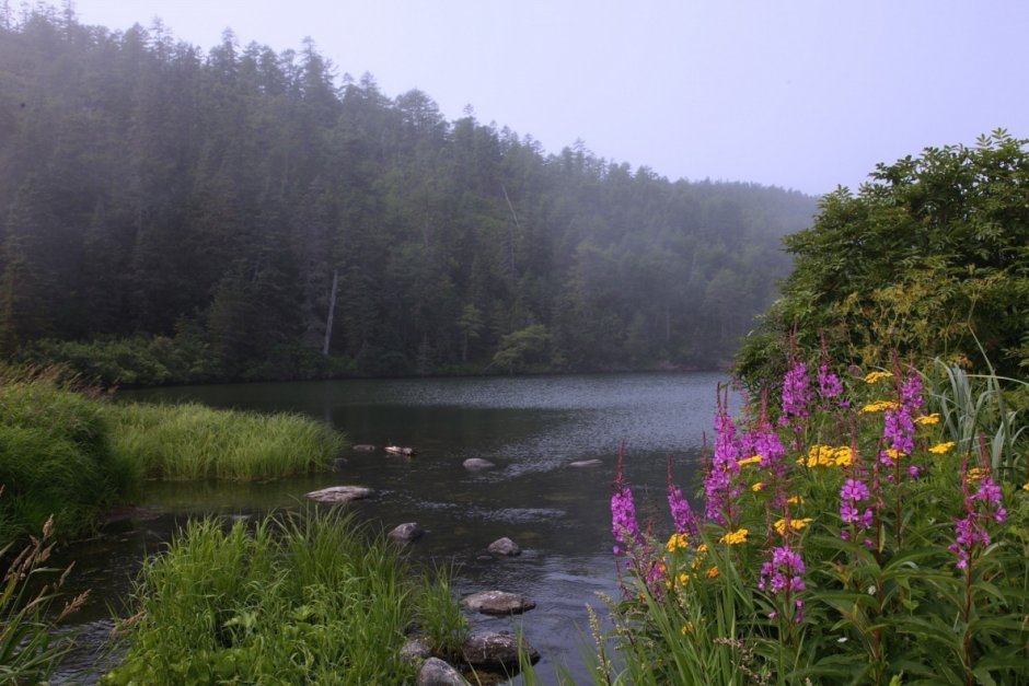 Национальный парк Шантарские острова