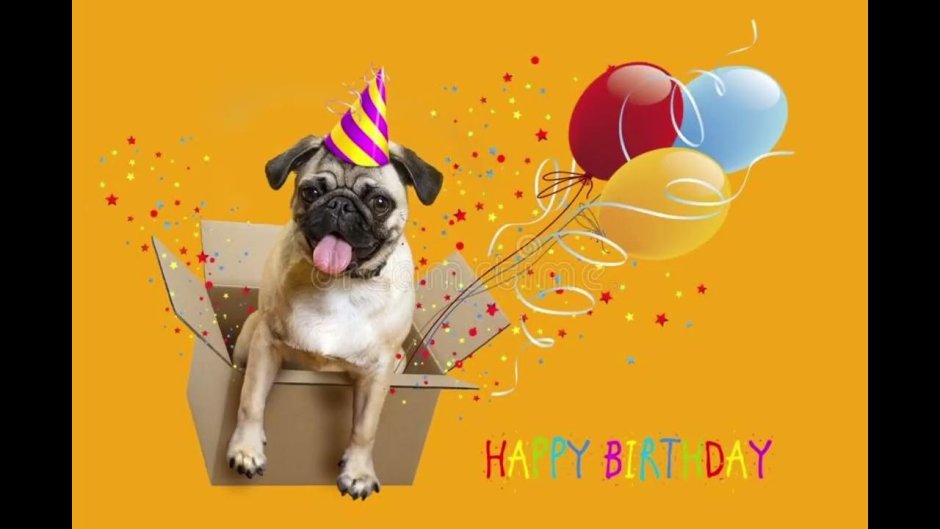 Мопс с шариком рисунок