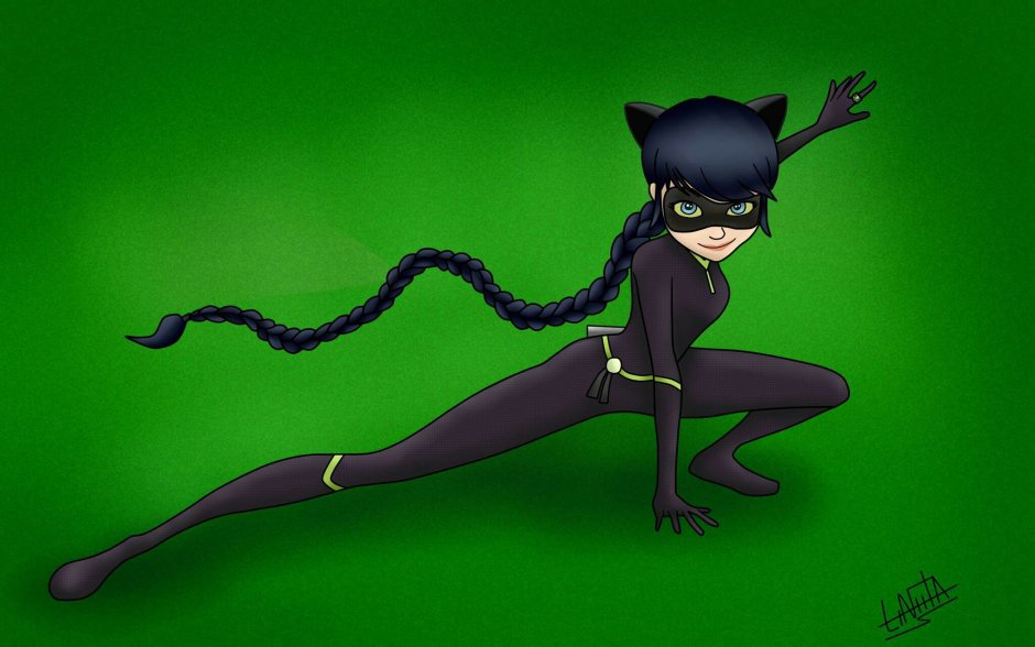 Леди кошка и Мистер баг