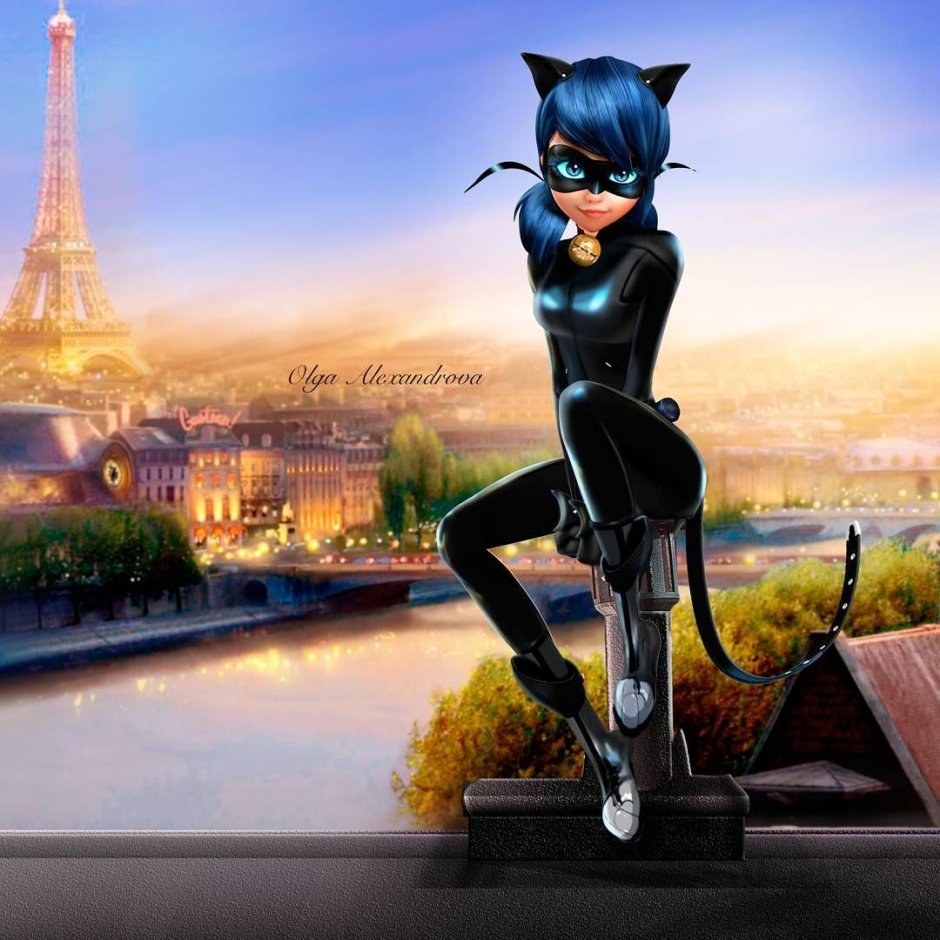 Леди кошка и супер кот