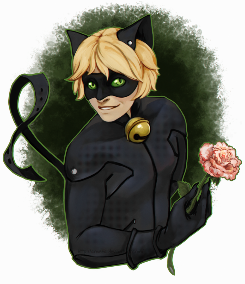 Новый кот Нуар