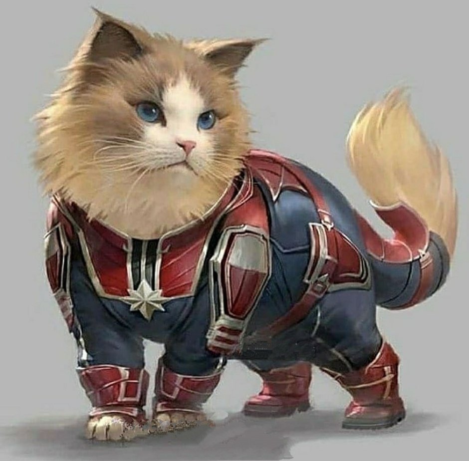 Коты Супергерои Дженни Паркс