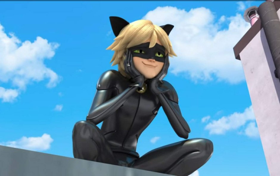 Супер кот сидит