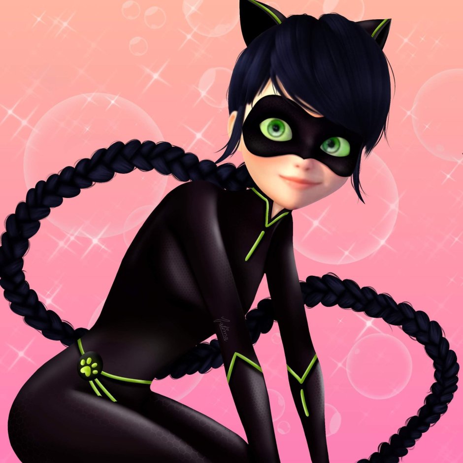 Леди баг леди Нуар