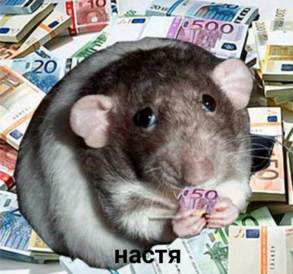 Мышь с деньгами