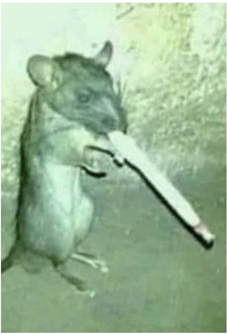 Мышь с сигаретой