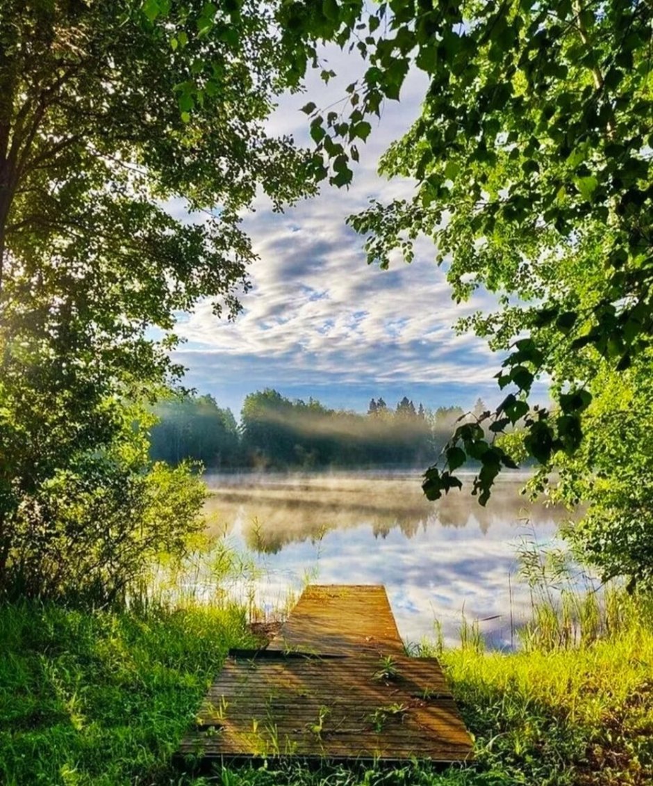 Родные просторы Пушгоры панорама