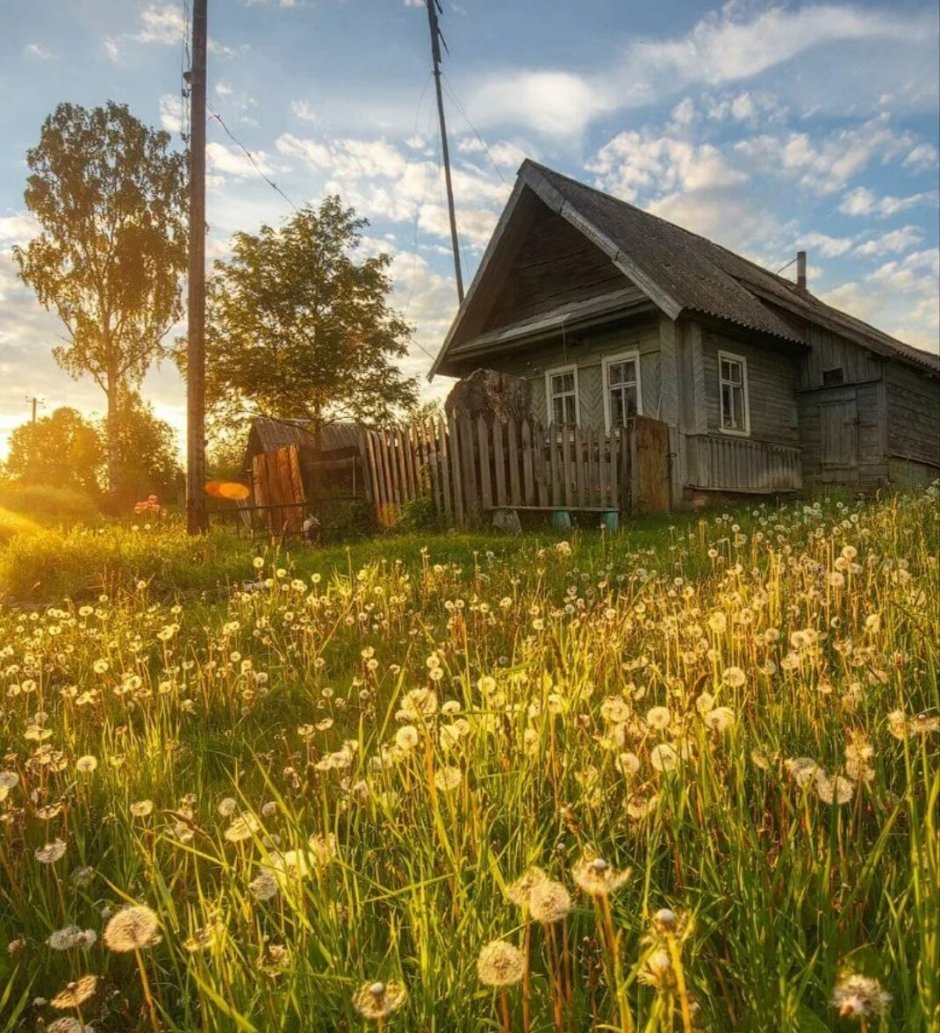 Деревни Новгородской области