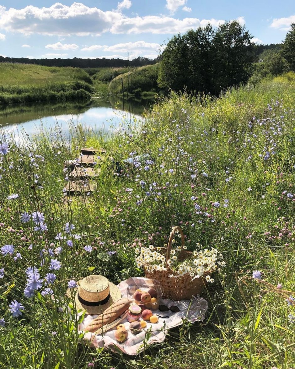 Эстетика природы лета пикник в деревне