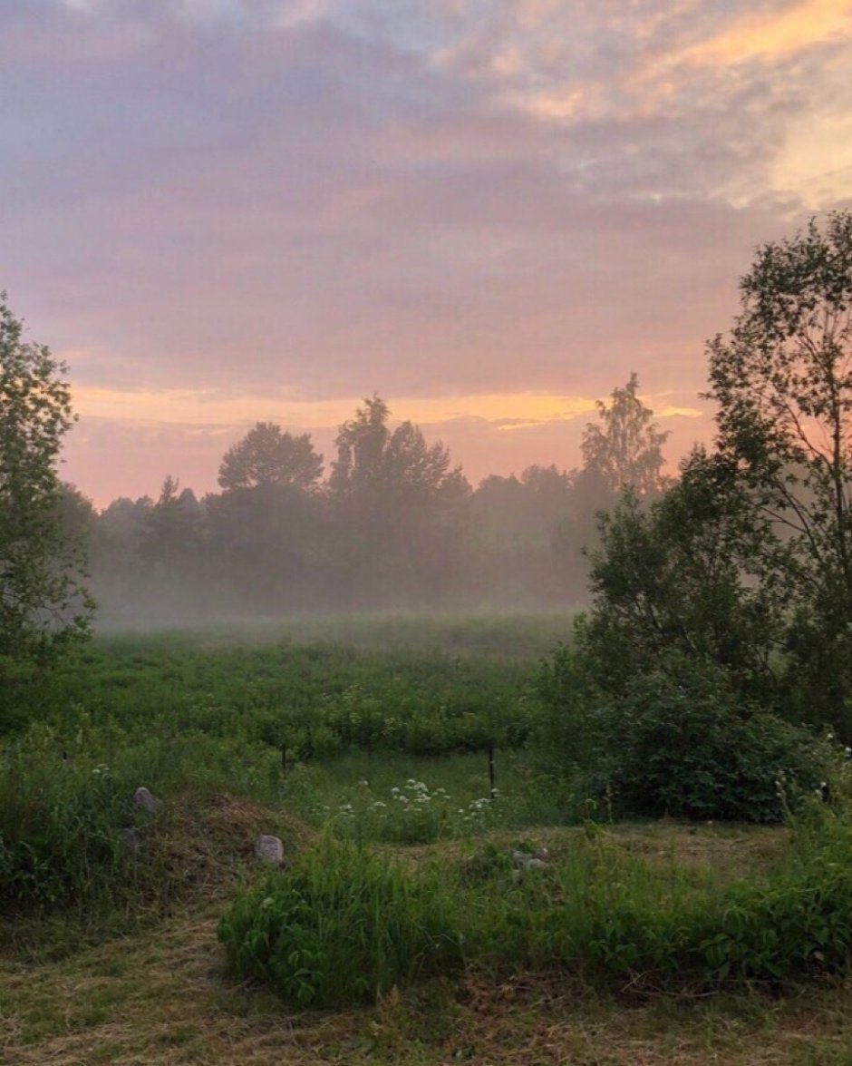 Рассвет в деревне пейзаж