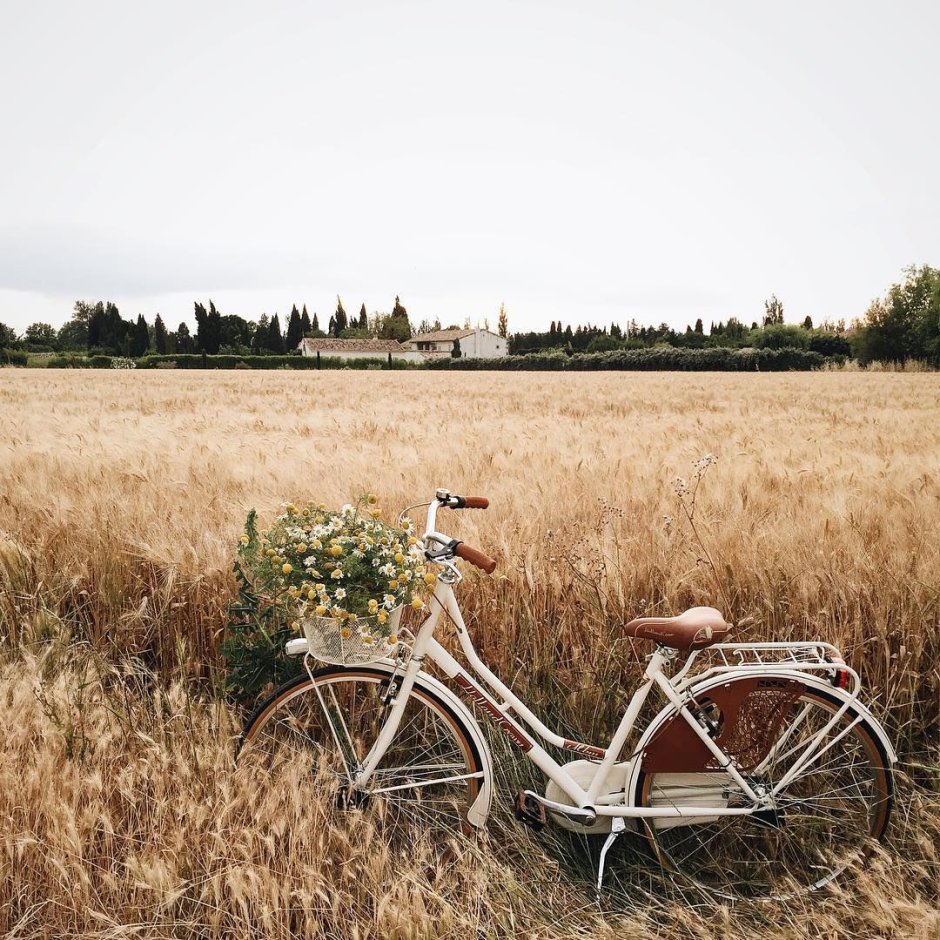 Велосипед Эстетика