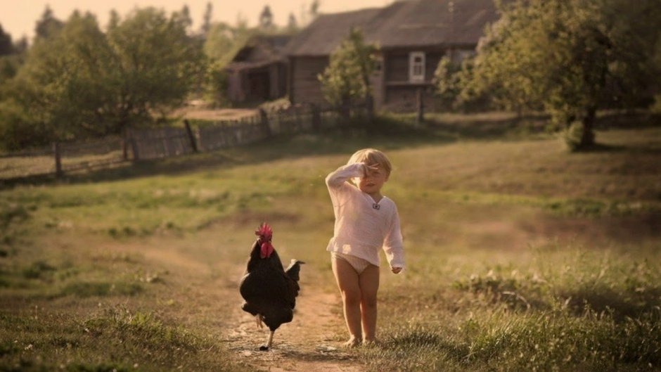 Елена Шумилова Суздаль