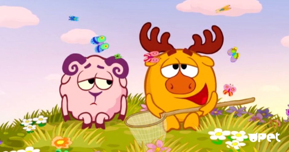 Лосяш и Бараш