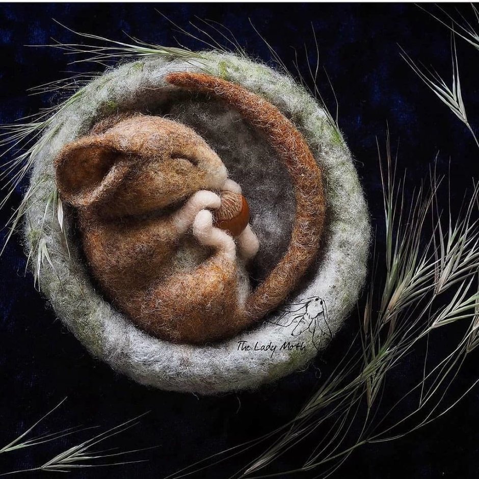 Мышка спит в норке