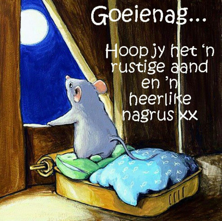 Спокойной ночи мышонок