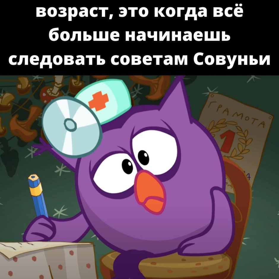 Смешарики советы Совуньи