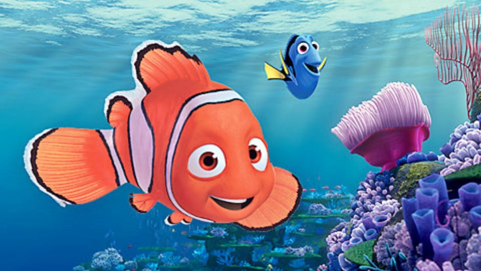 Рыбка Немо кадры