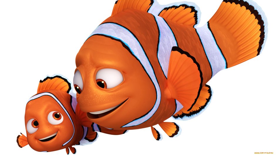 Рыбка Немо мультфильм