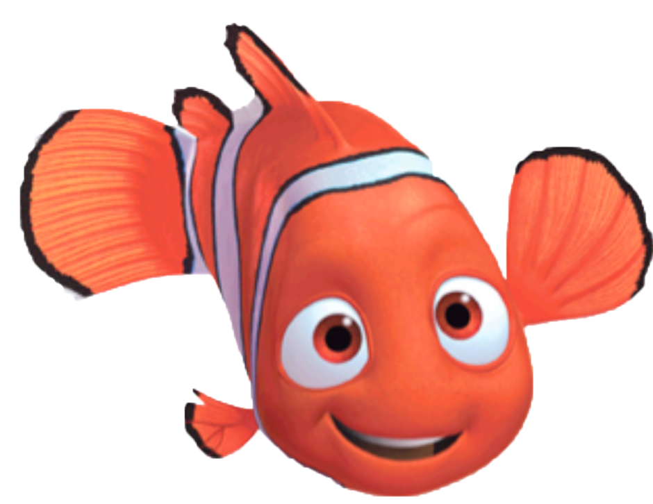 Рыба клоун из Немо