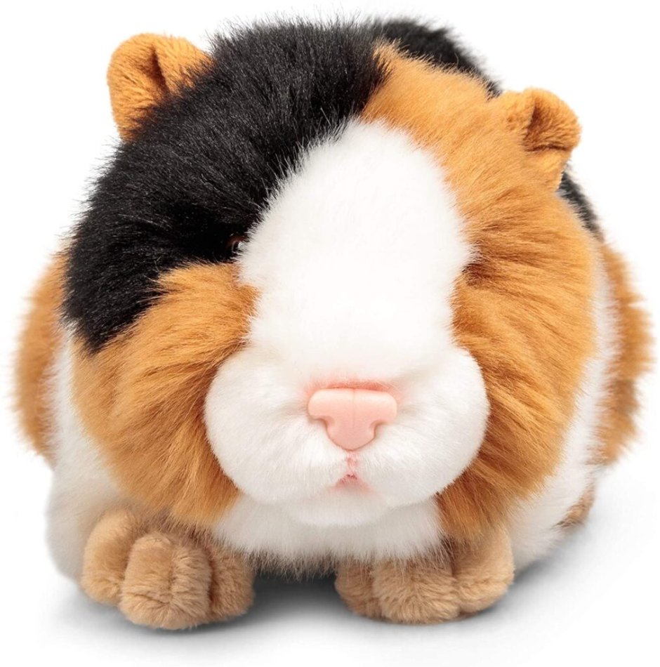 Игрушка морская Свинка Нормана