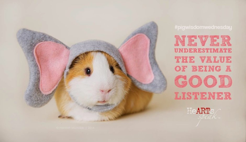 Мягкая игрушка скинни