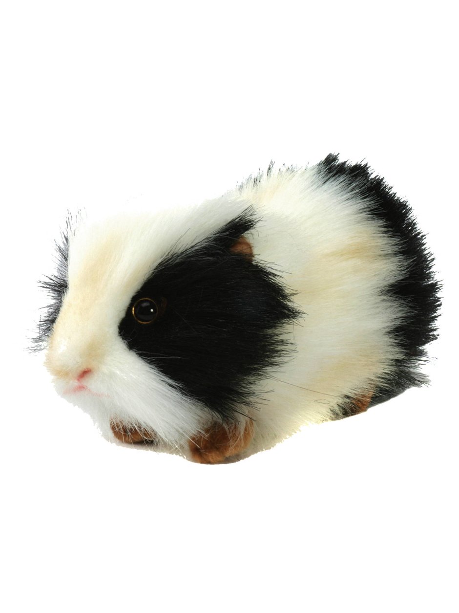 Морская Свинка игрушка Ханса