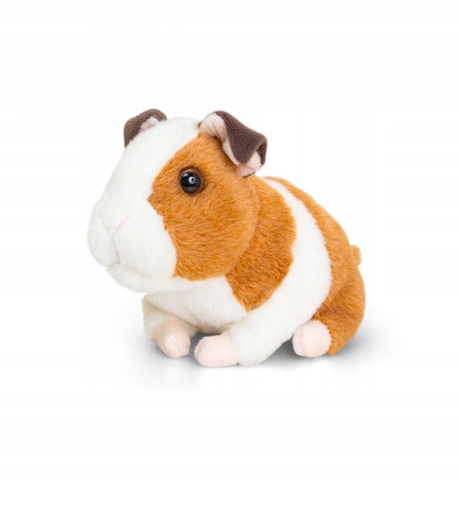 Игрушки для морских свинок