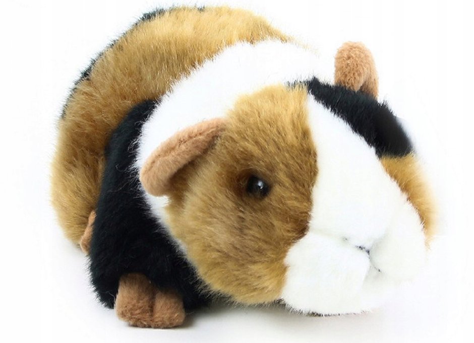 Плюшевая морская Свинка игрушка