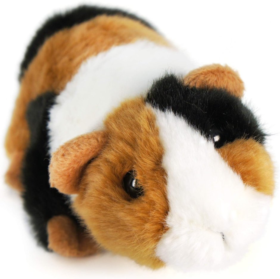 Hansa Legacy морская Свинка