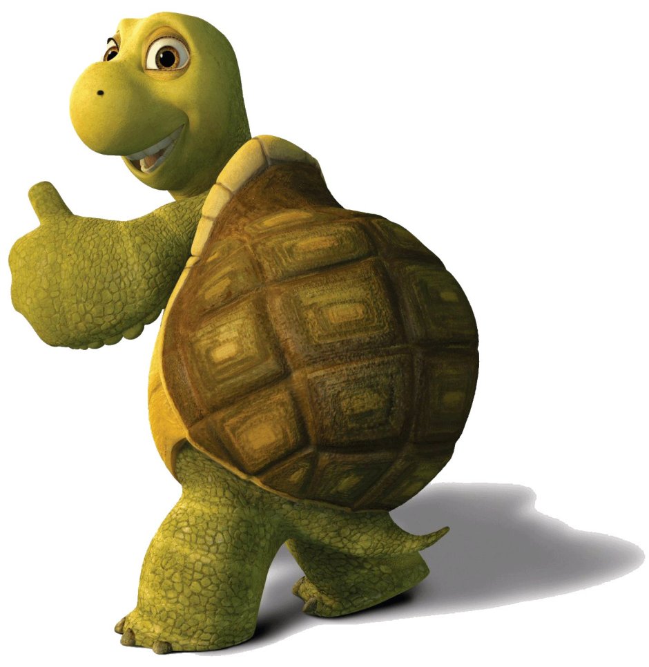 Лесная братва черепаха