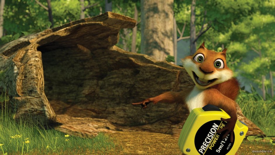 Лесная братва белка