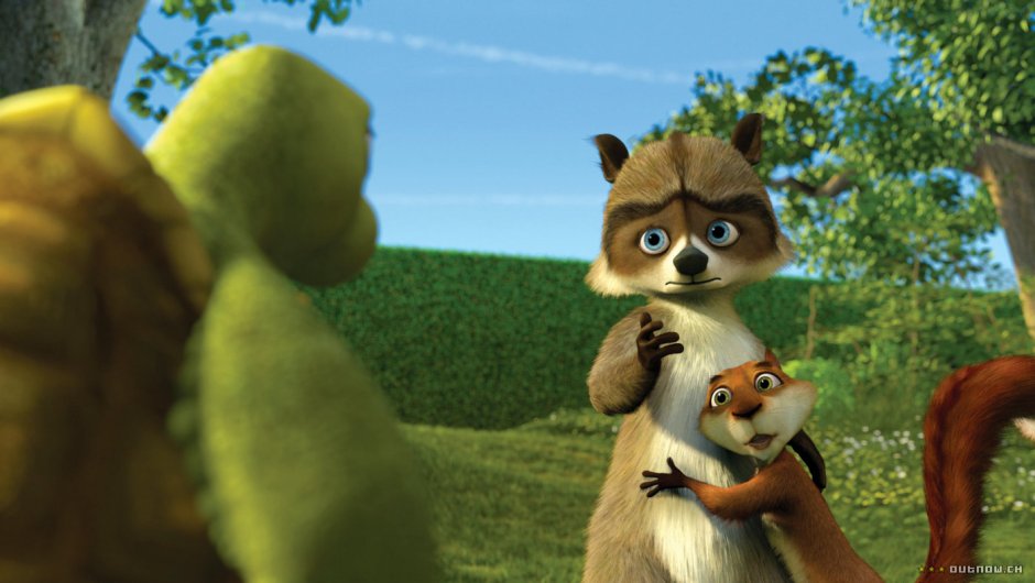 Лесная братва енот Эрджей