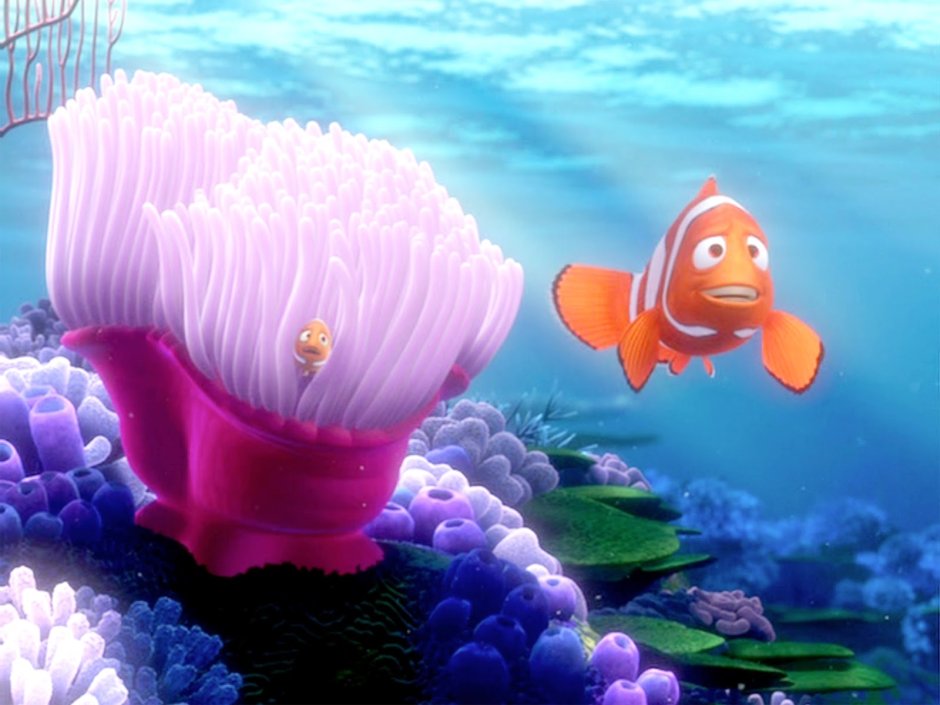 Немо в Анемоне