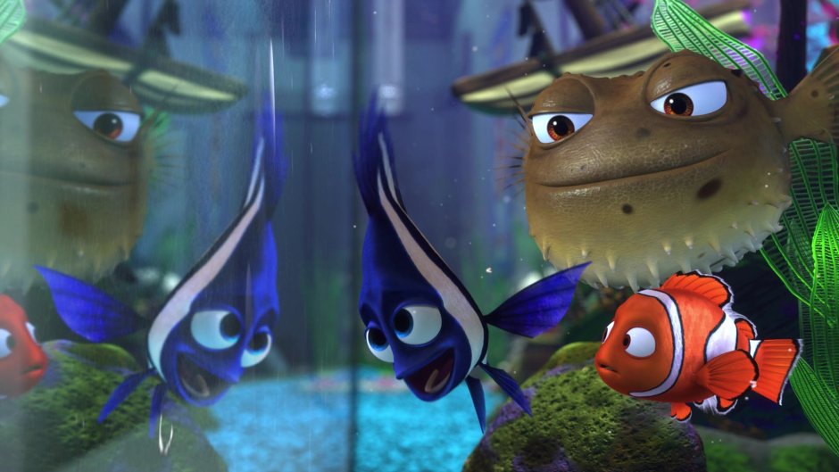 Рыба еж Немо