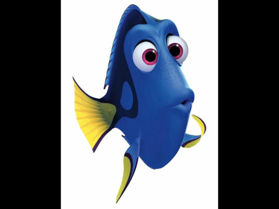 Маленькая дори рыбка мультфильм