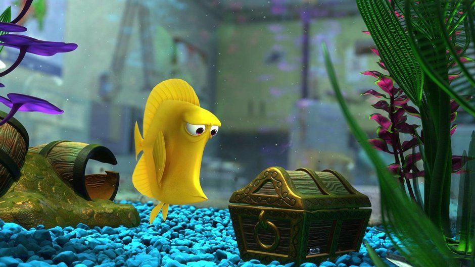 Немо желтая рыбка