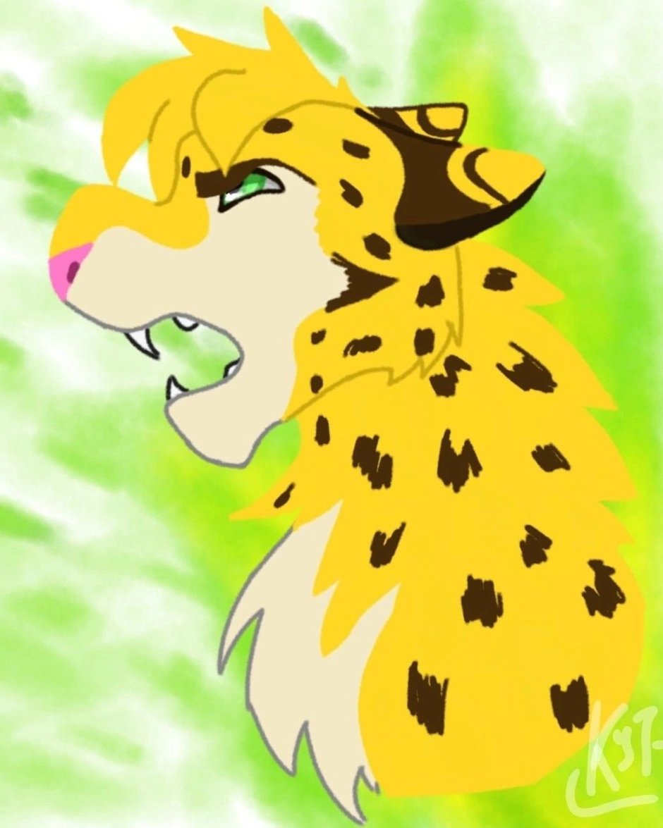 Гепард чит из Лео и Тиг