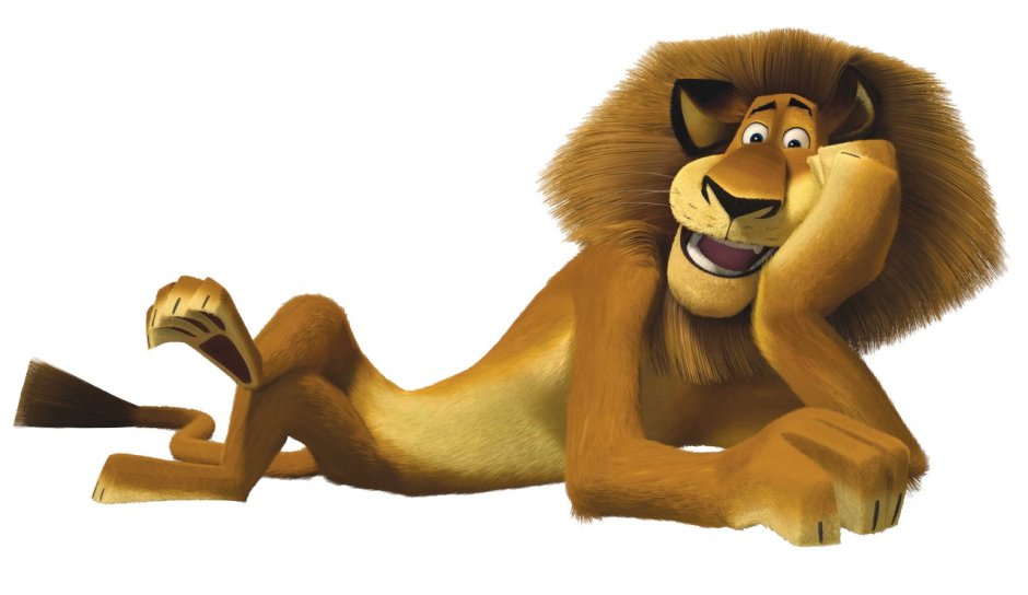 Мадагаскар Лев