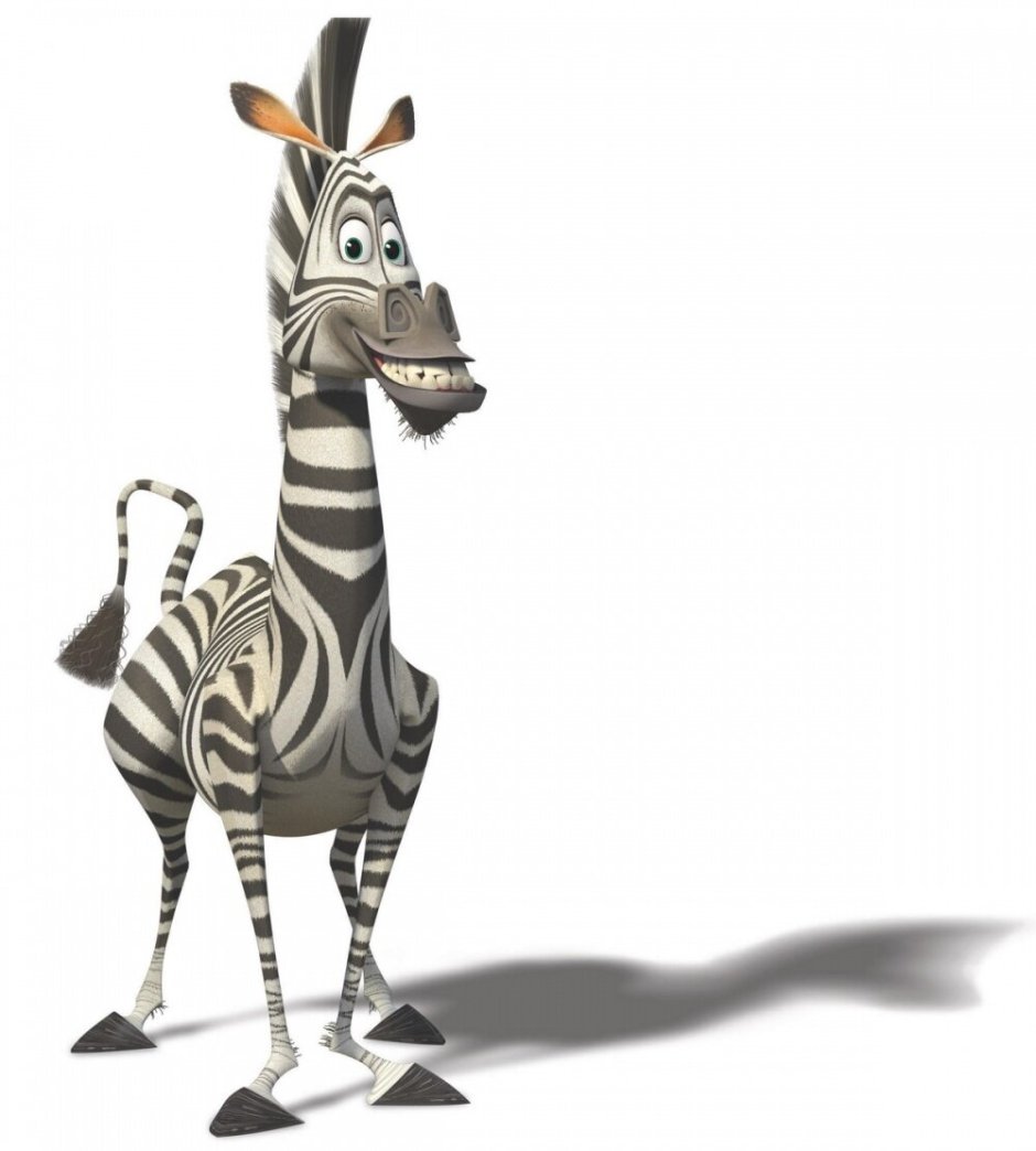 Зебра Марти