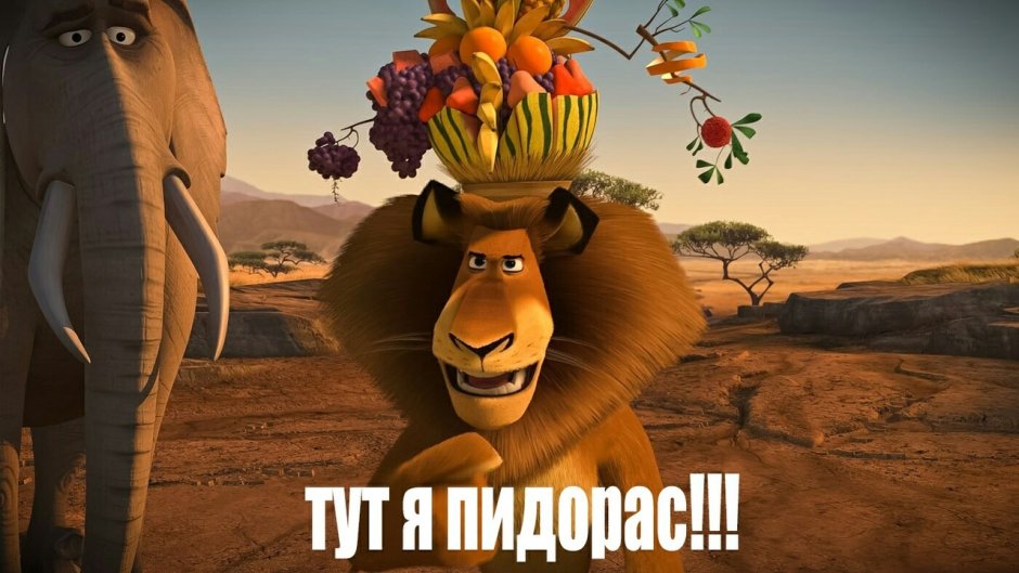 Мадагаскар 2 Макунга и Алекс